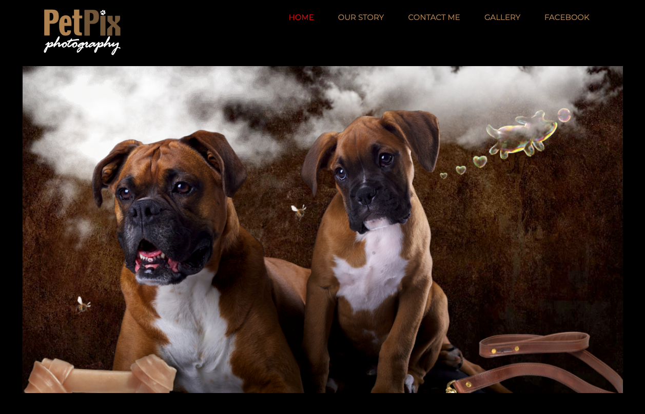 Pet-Pix Photography Website